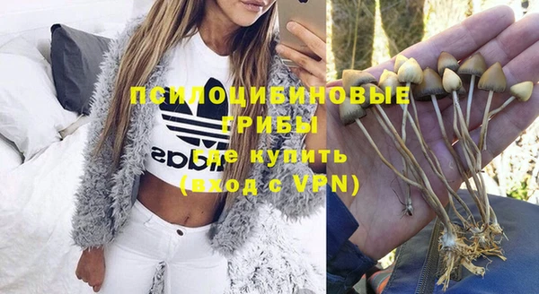 бошки Горнозаводск