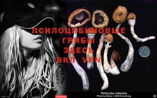 соль курить ск Горняк