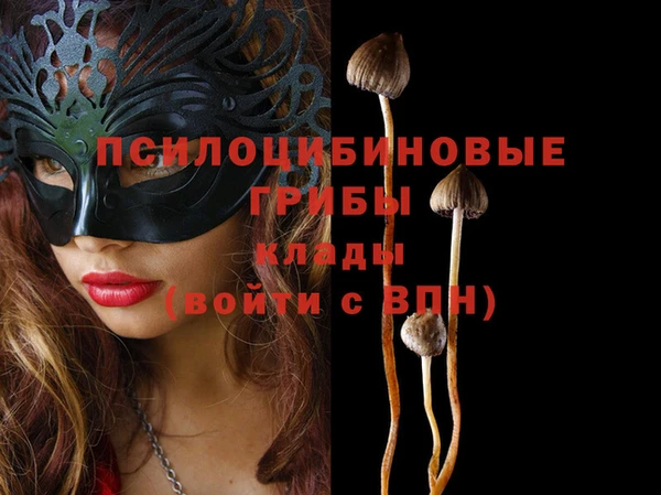 спайс Горно-Алтайск