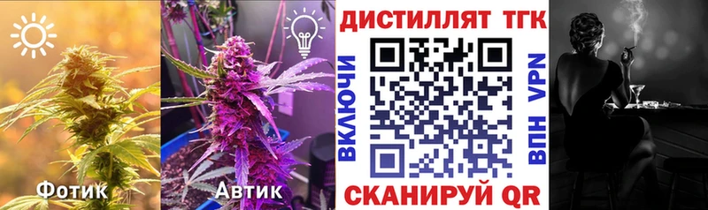 мега зеркало  Сертолово  Дистиллят ТГК Wax 